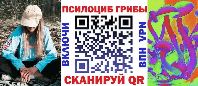 Купить закладки  Гаджиево  Псилоцибиновые грибы мухоморы 