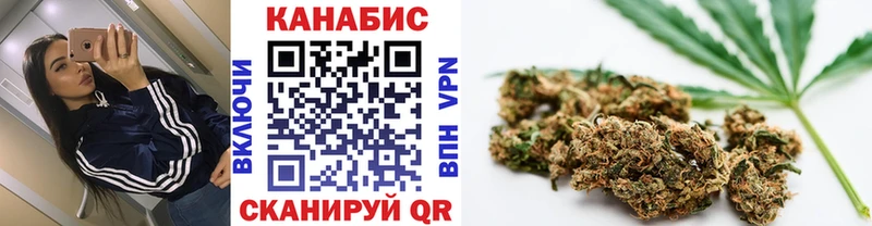 Конопля White Widow  Купить закладки  Гаджиево 